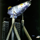Image for article titled Happy Birthday Ames! Awesome Photos From 75 Years of Aerospace Research